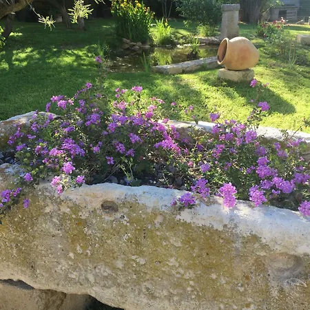 D'hotes Les Cigales Comps (Gard)