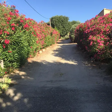 Bed & Breakfast D'hotes Les Cigales Comps (Gard)
