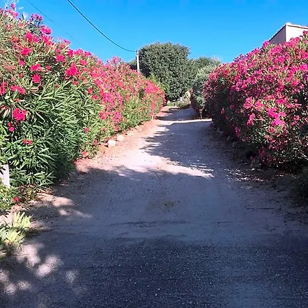 D'hotes Les Cigales Bed & Breakfast 3*